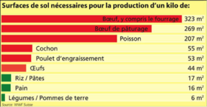 Environement impact.png